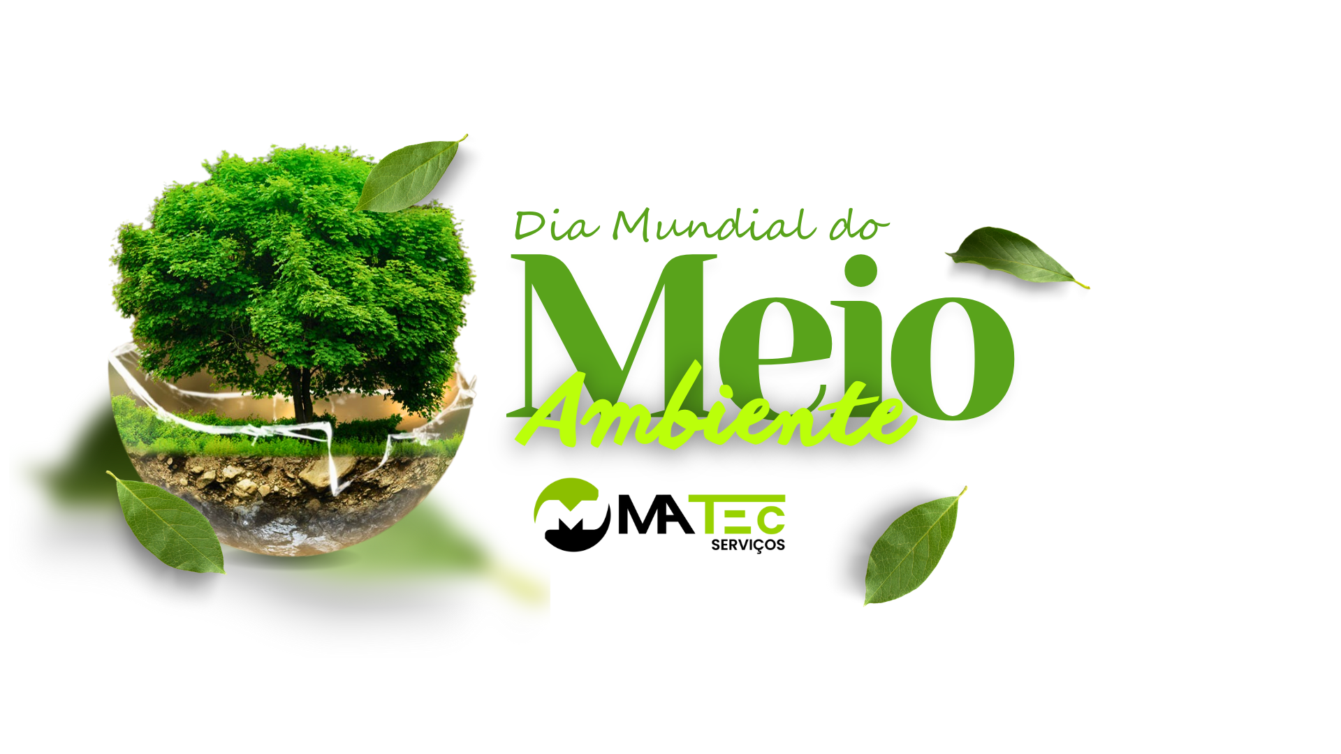 🌍 05 de Junho –Dia Mundial do Meio Ambiente 🌱